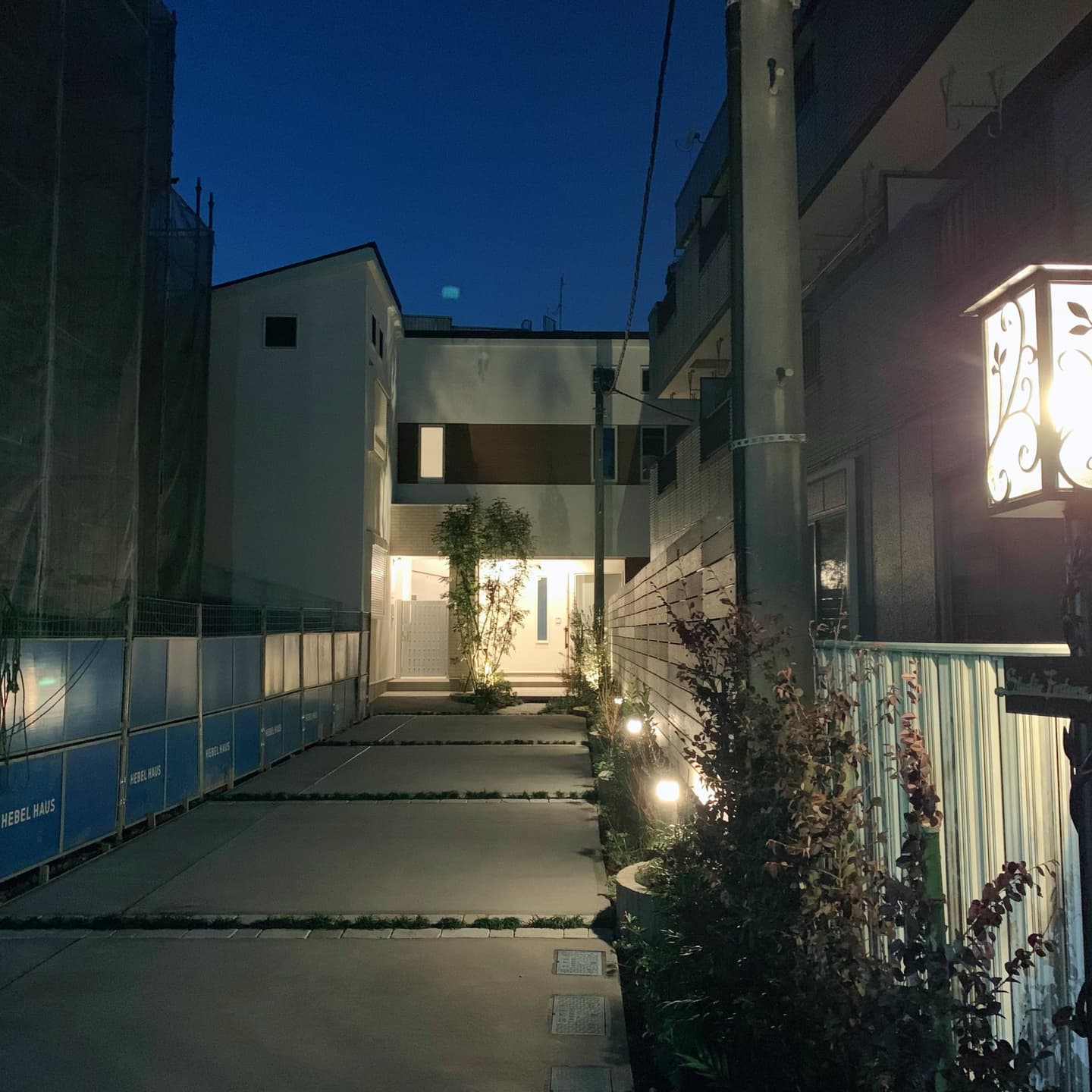 佐渡先生